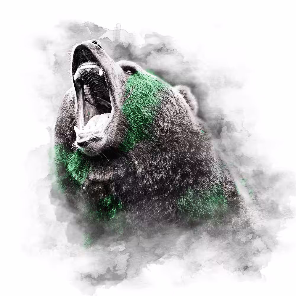 GREEN SERIES - BEAR