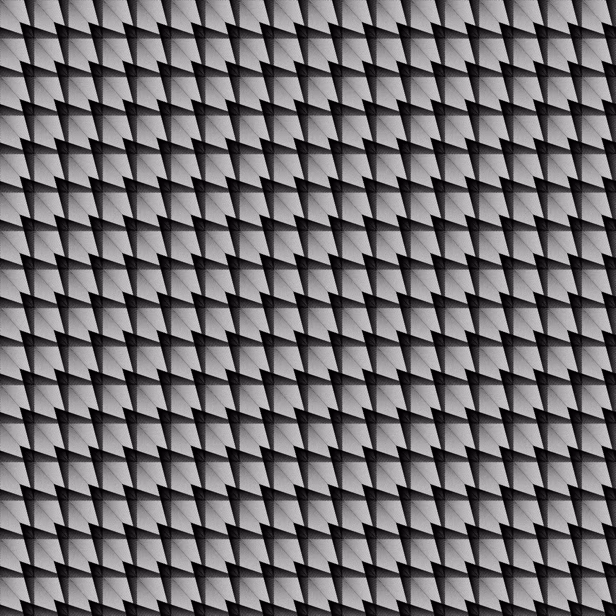 Noir et Blanc #7