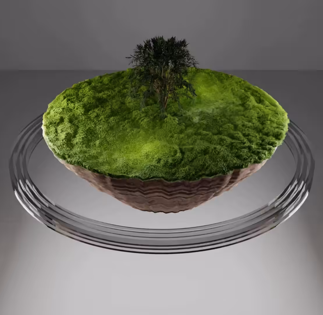 Harvested Land