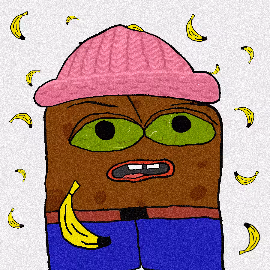 SPENGE #206