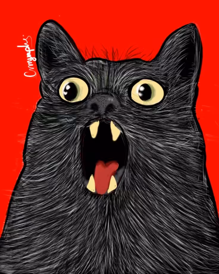 Midnight Scream