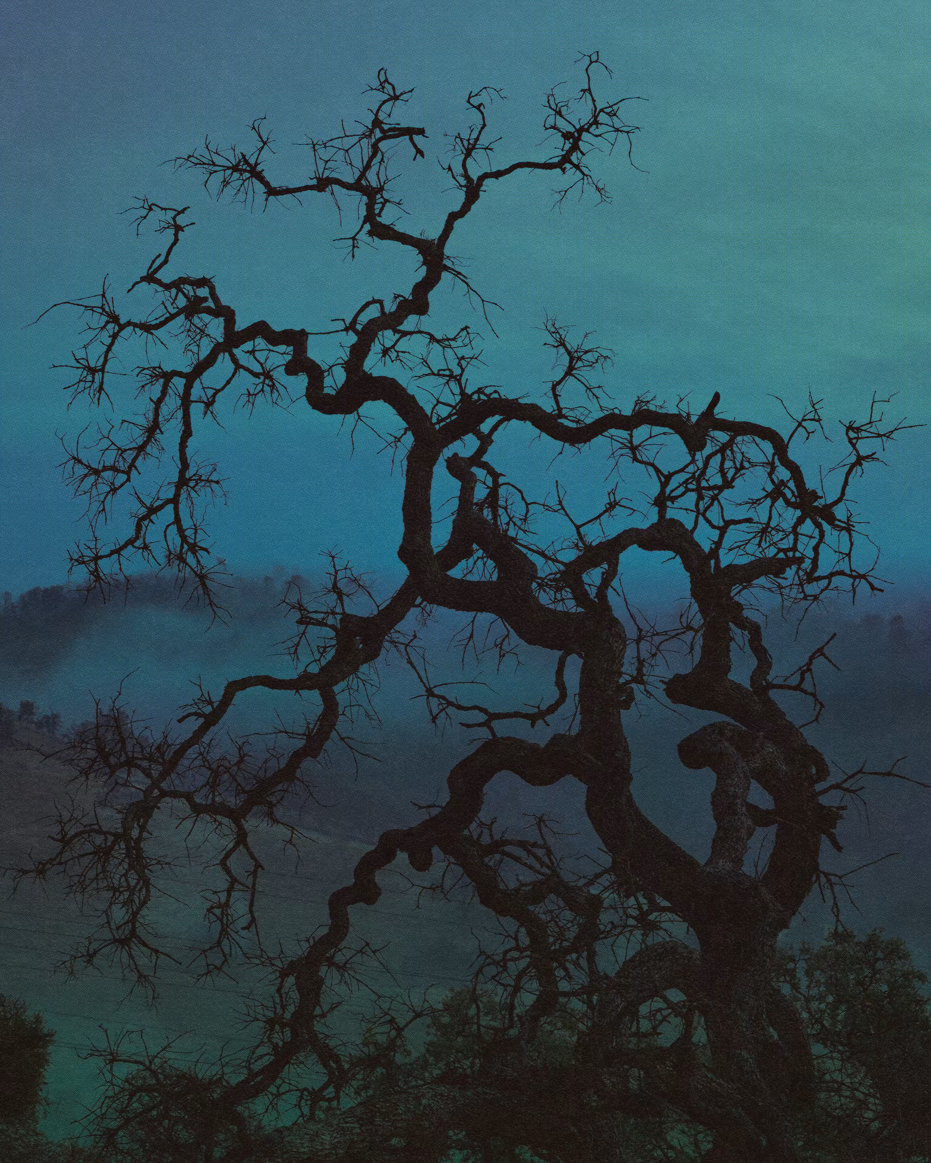 veins decaying