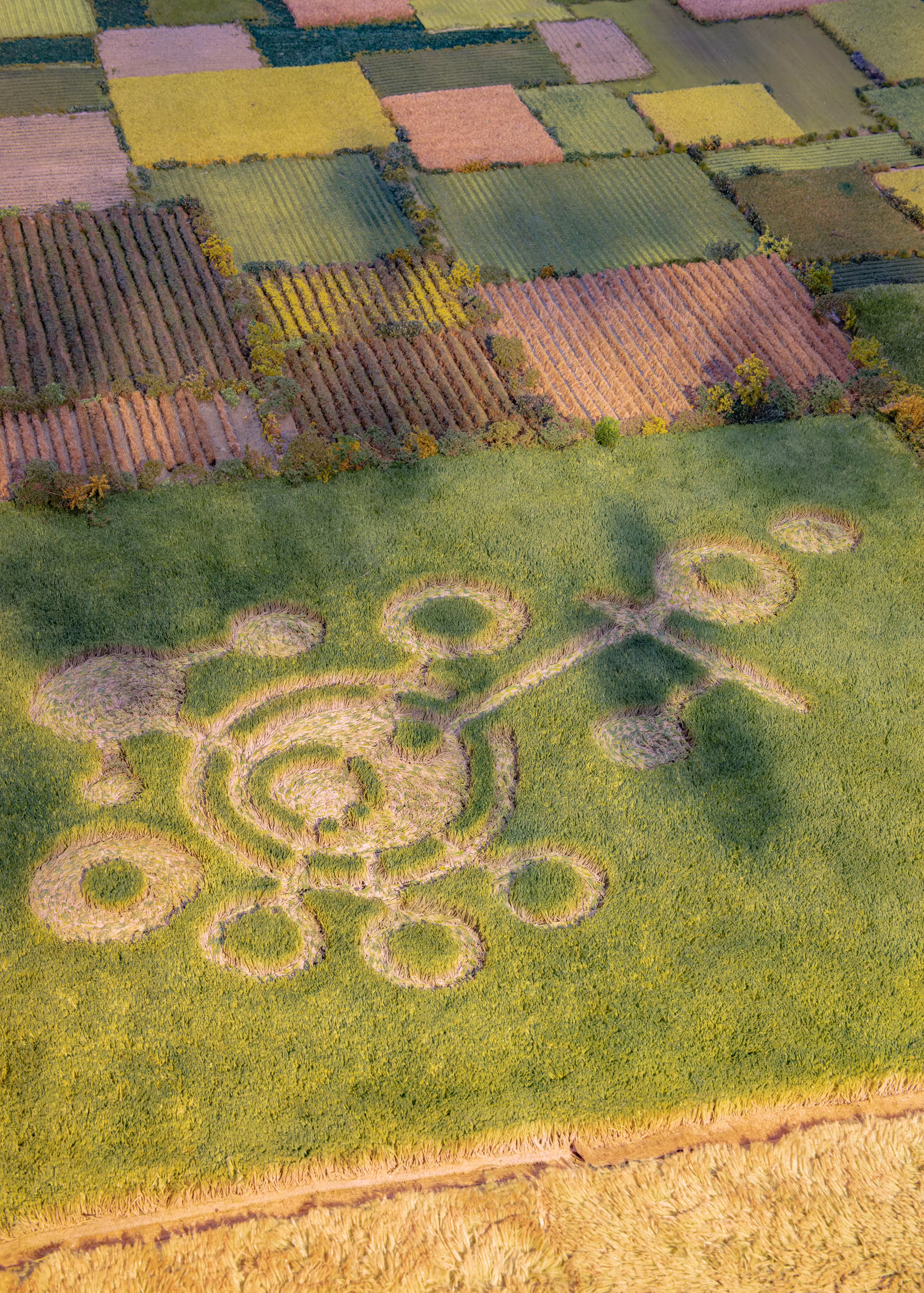 Strange Worlds - Crop Circle 2