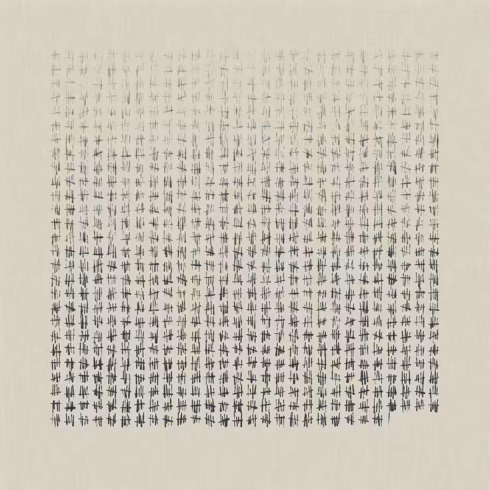 Days #117