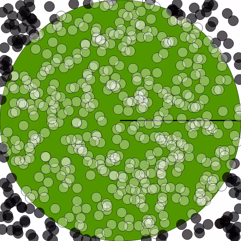 (π) #5