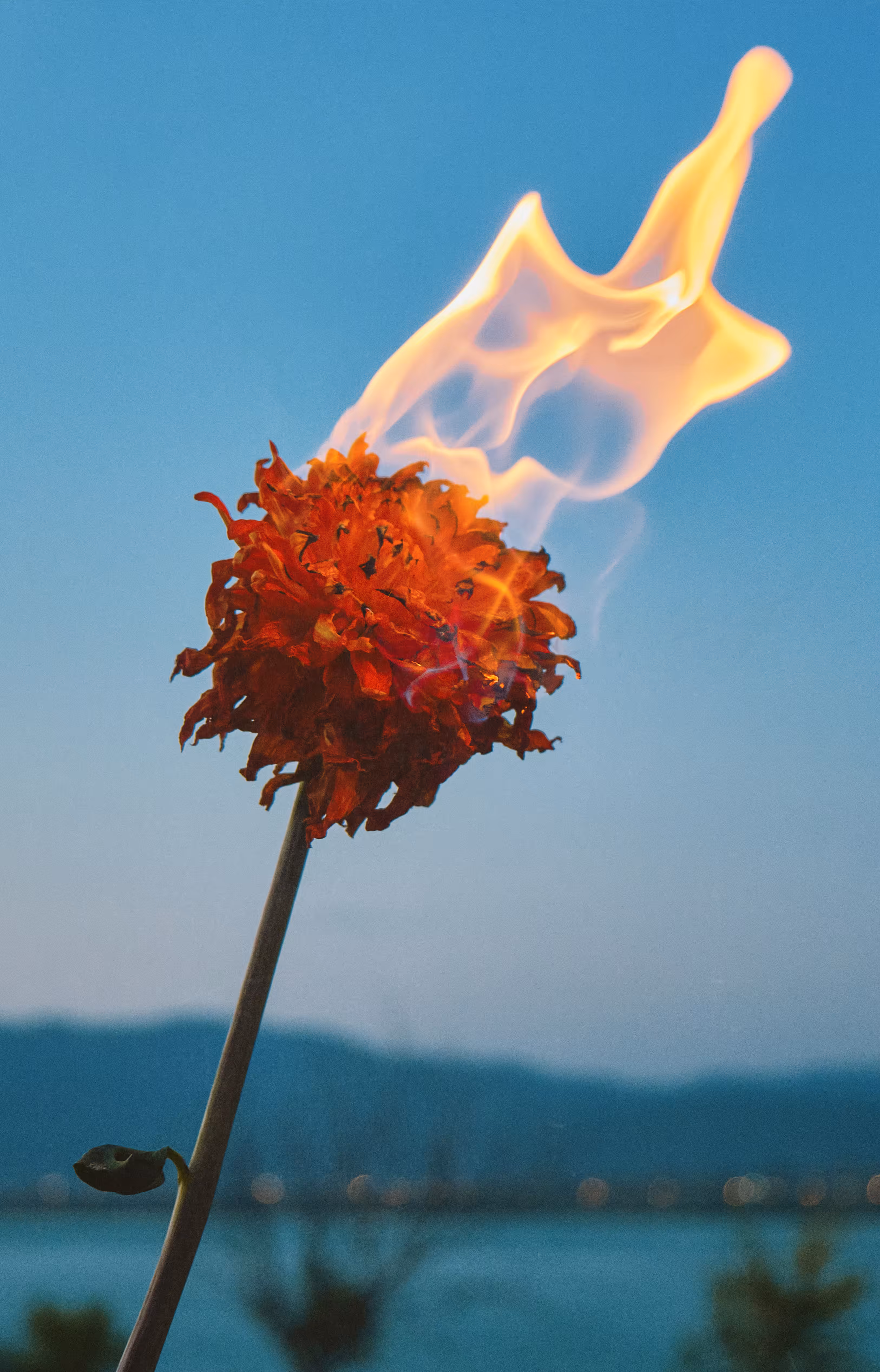 ON FIRE