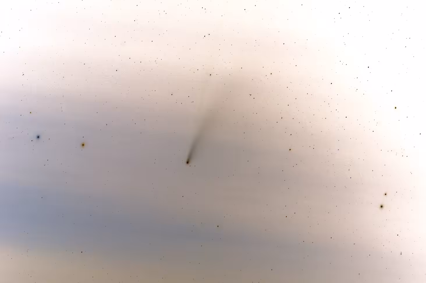 C/2020 F3 (NEOWISE)