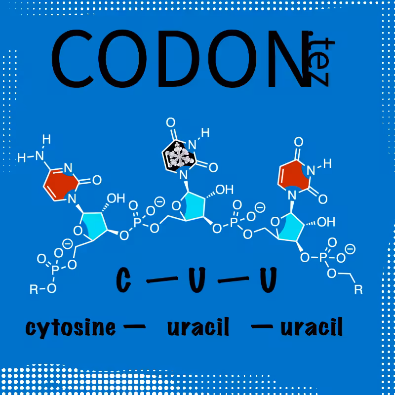 Codon Minter #33