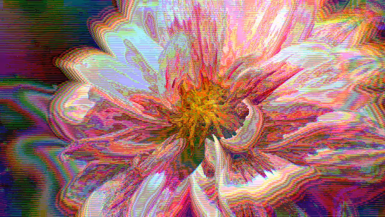 IN BLOOM #4