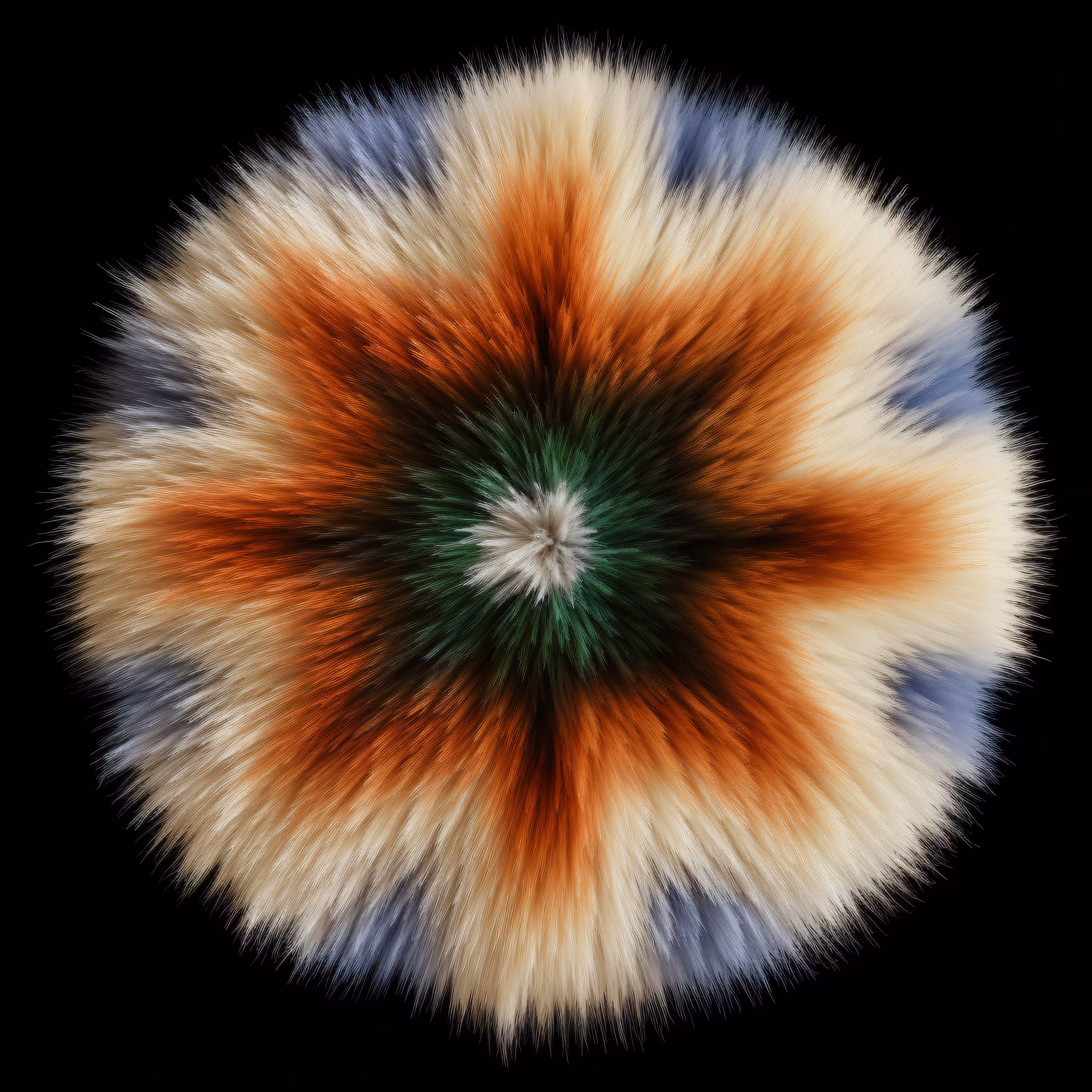 Furgorithms #15