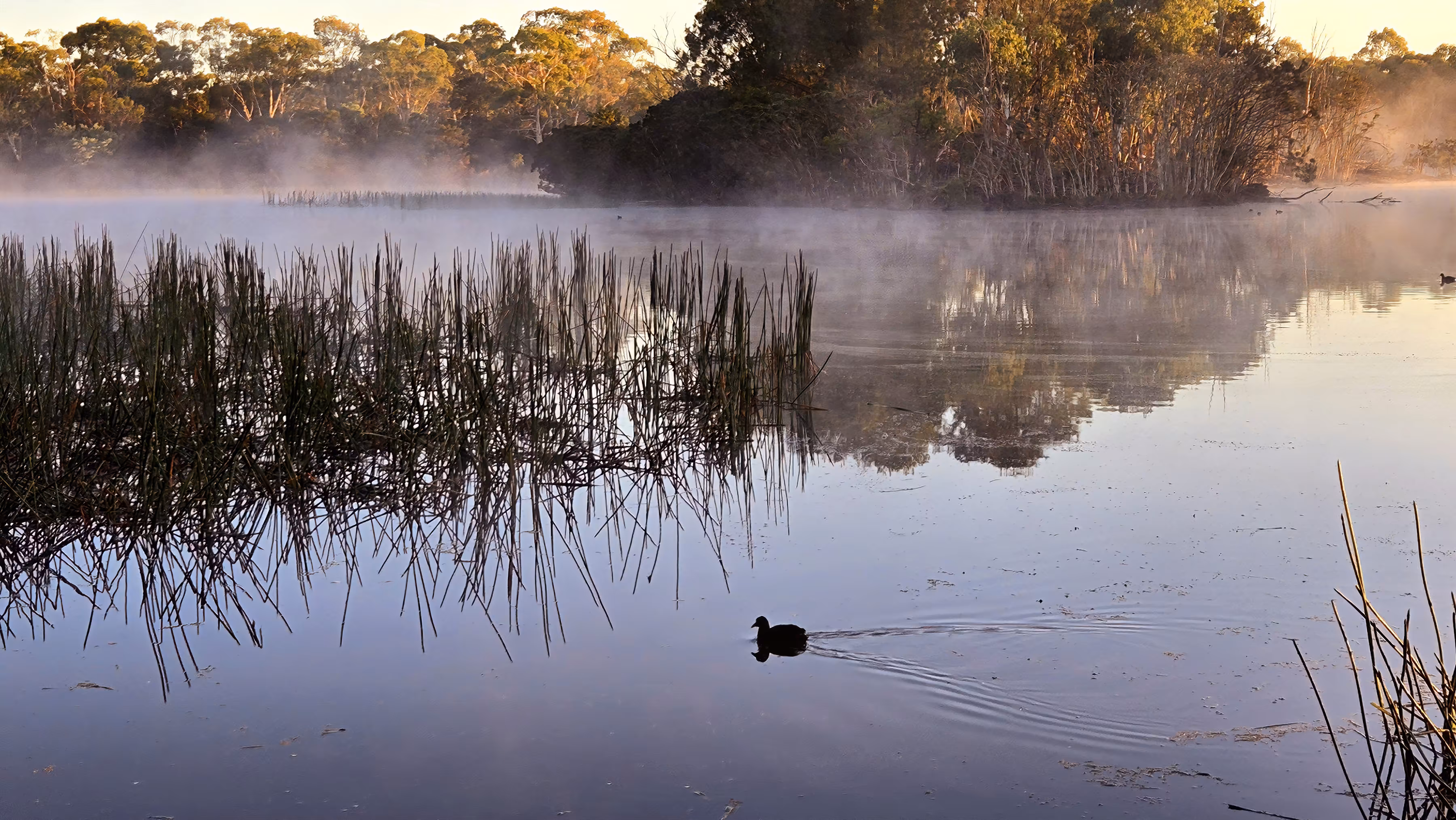 The Solitary Paddler