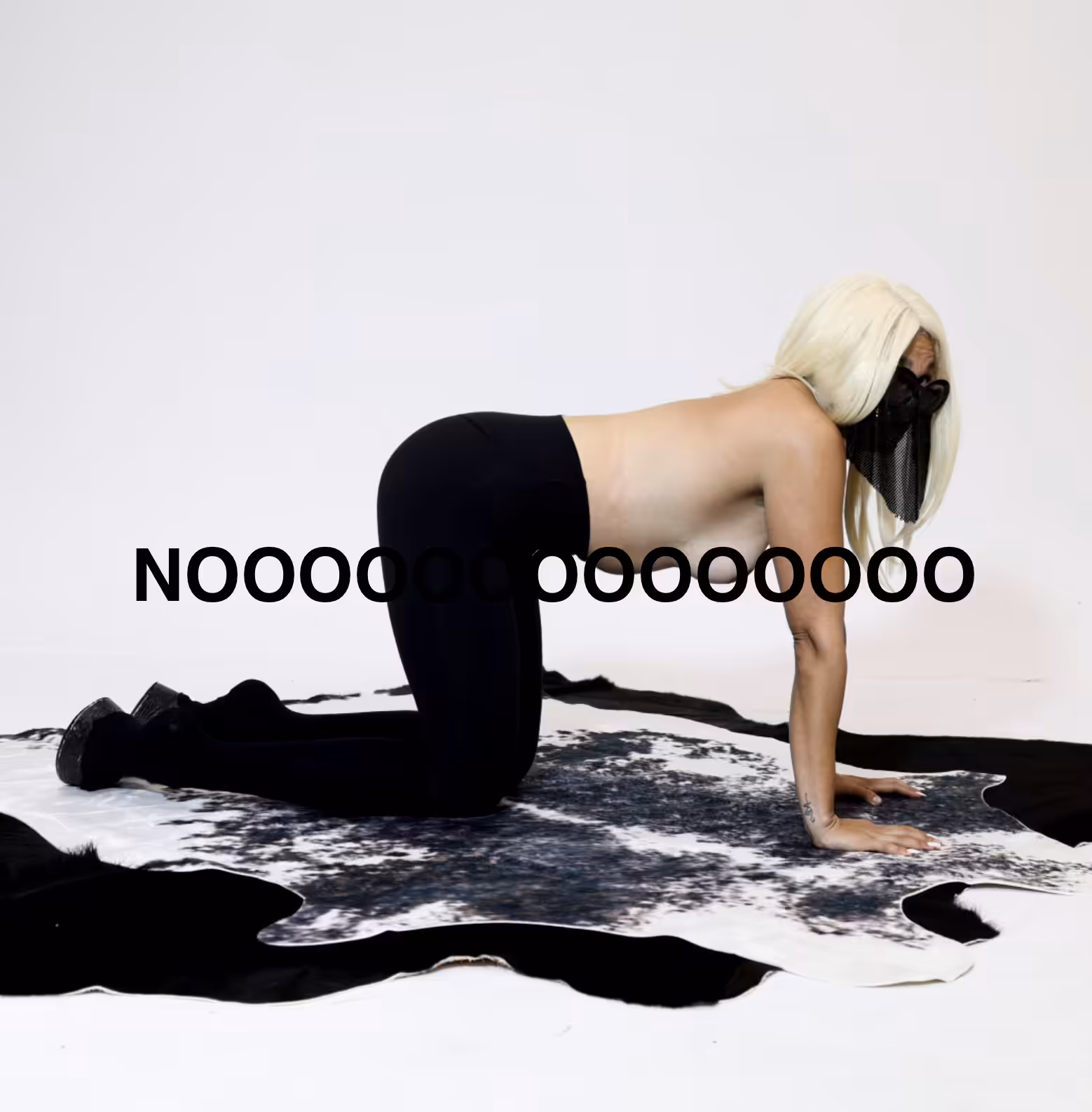 Follow the Noise: Artist Says So 