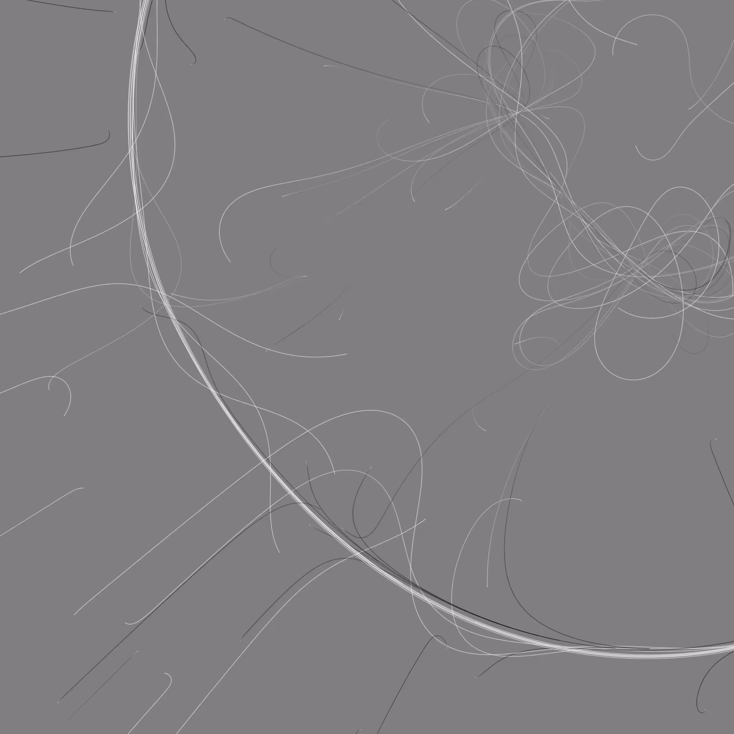 Phototaxis #511
