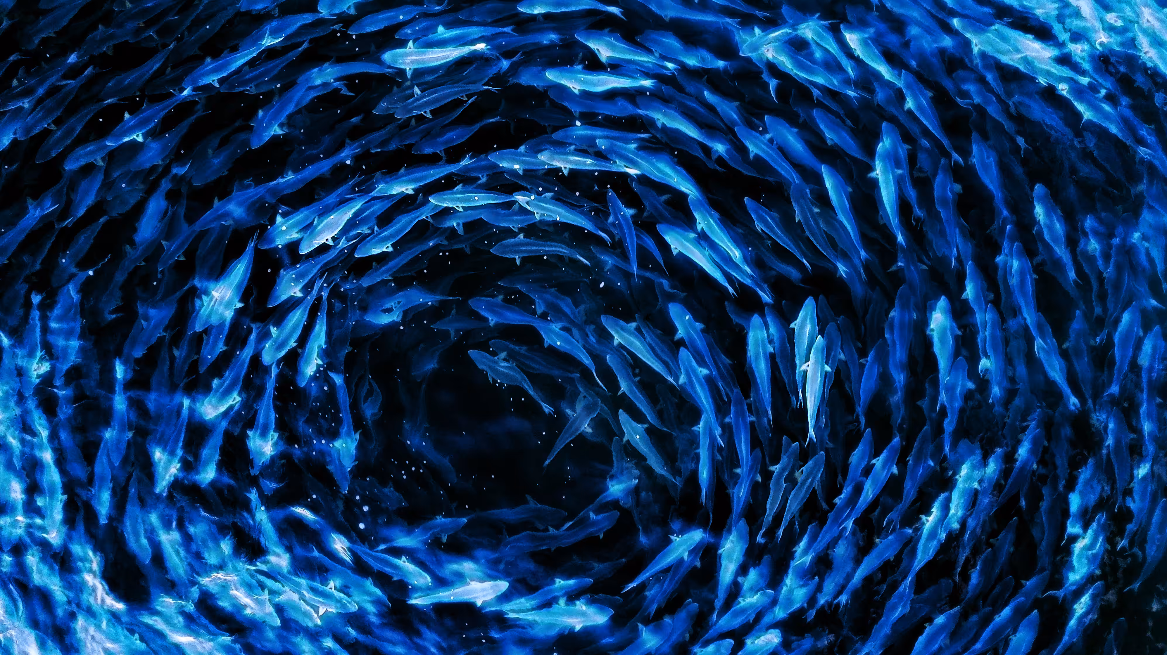 Into Liquid
