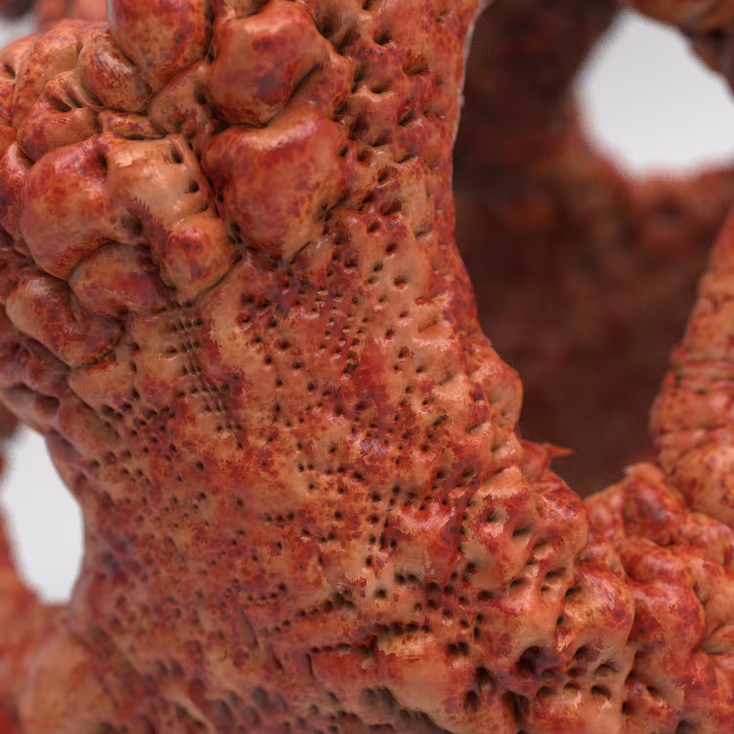 meat.05