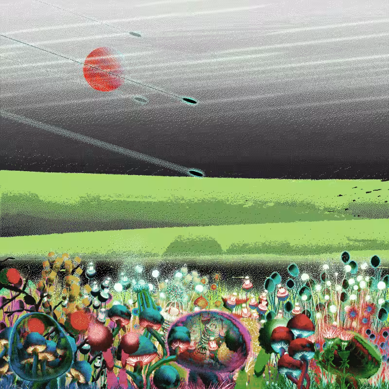 Onablo's Meadow #41