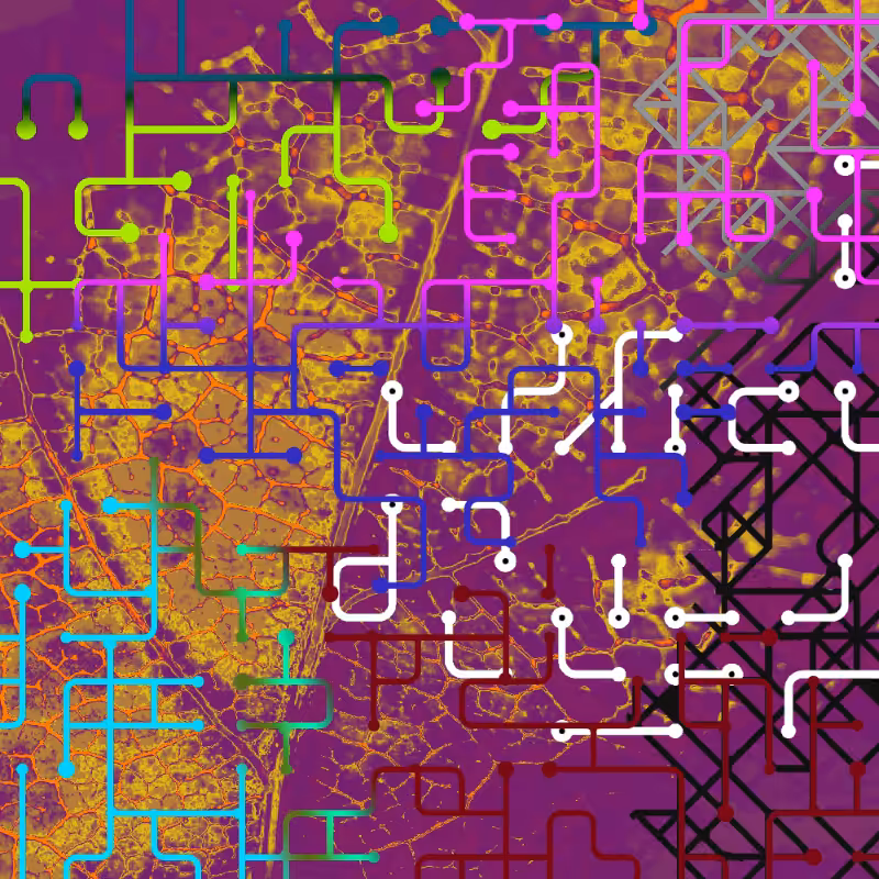 CHAOS #1