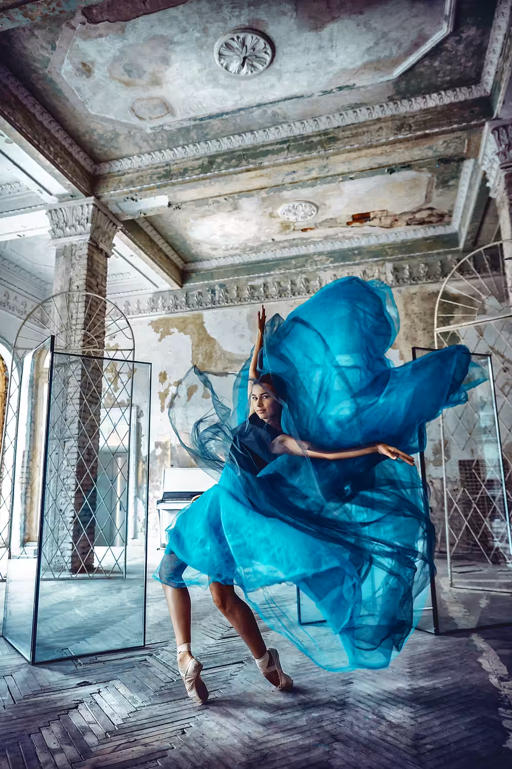 Blue Butterfly