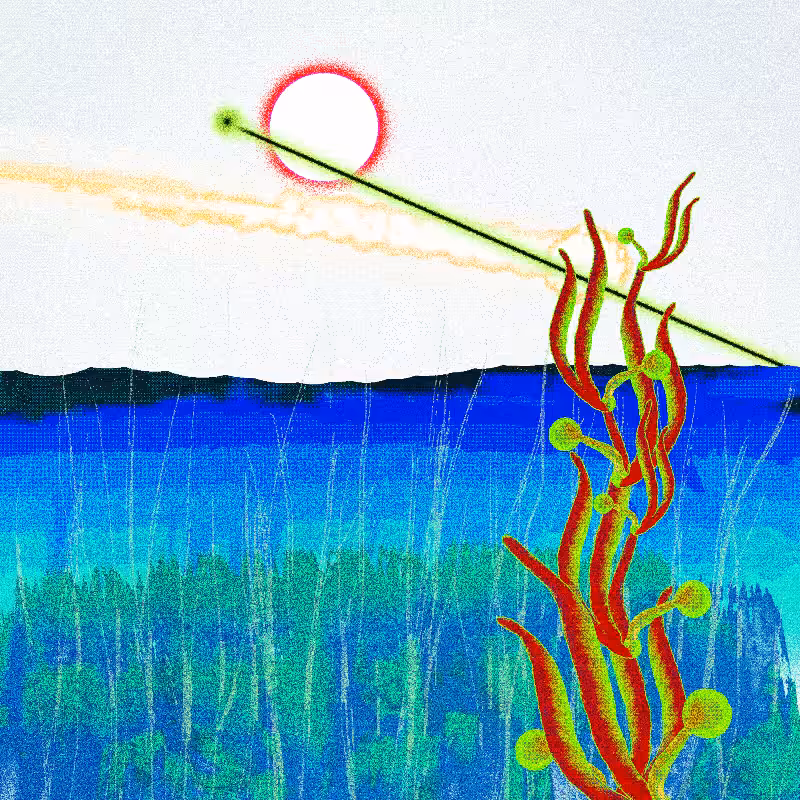 Ceshan's Psychedelics #323