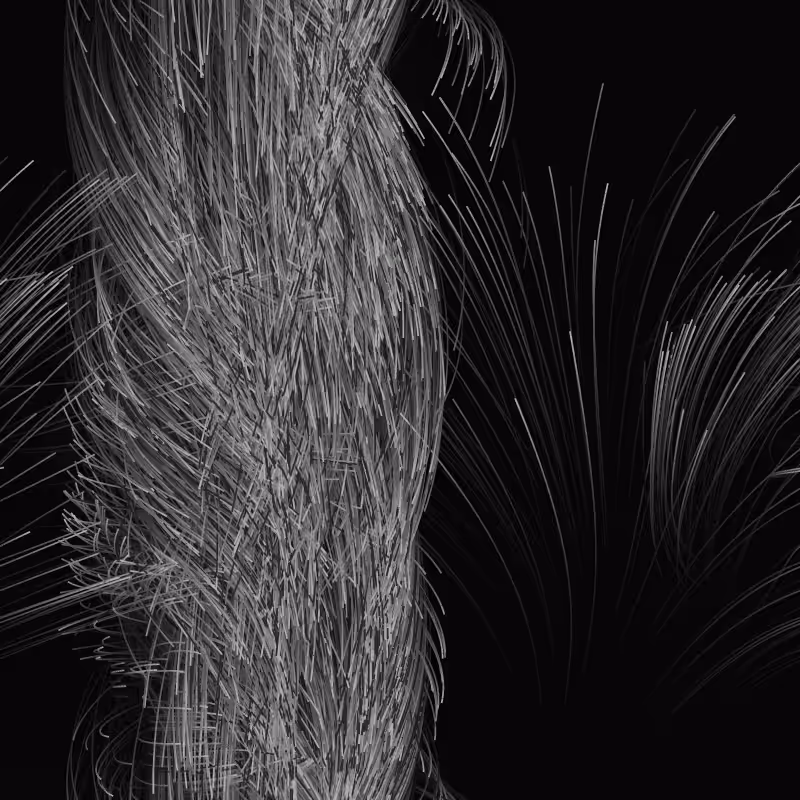Strange Attractor Swarm #45