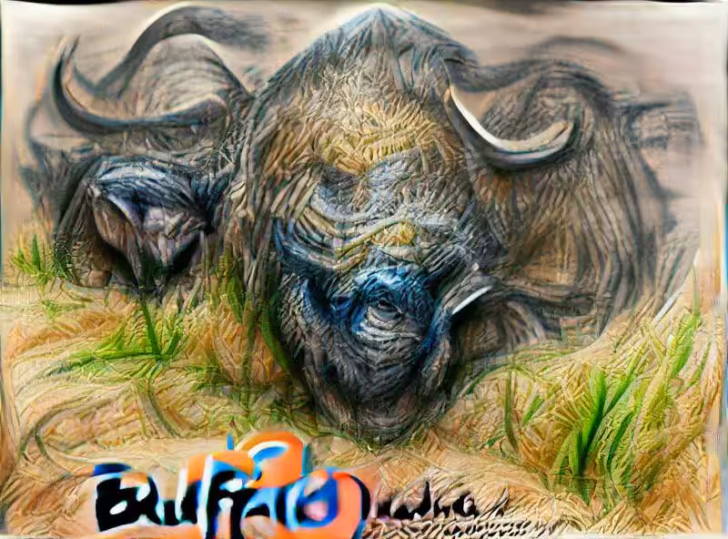 Buffalo buffalo buffalo buffalo buffalo buffalo buffalo buffalo.