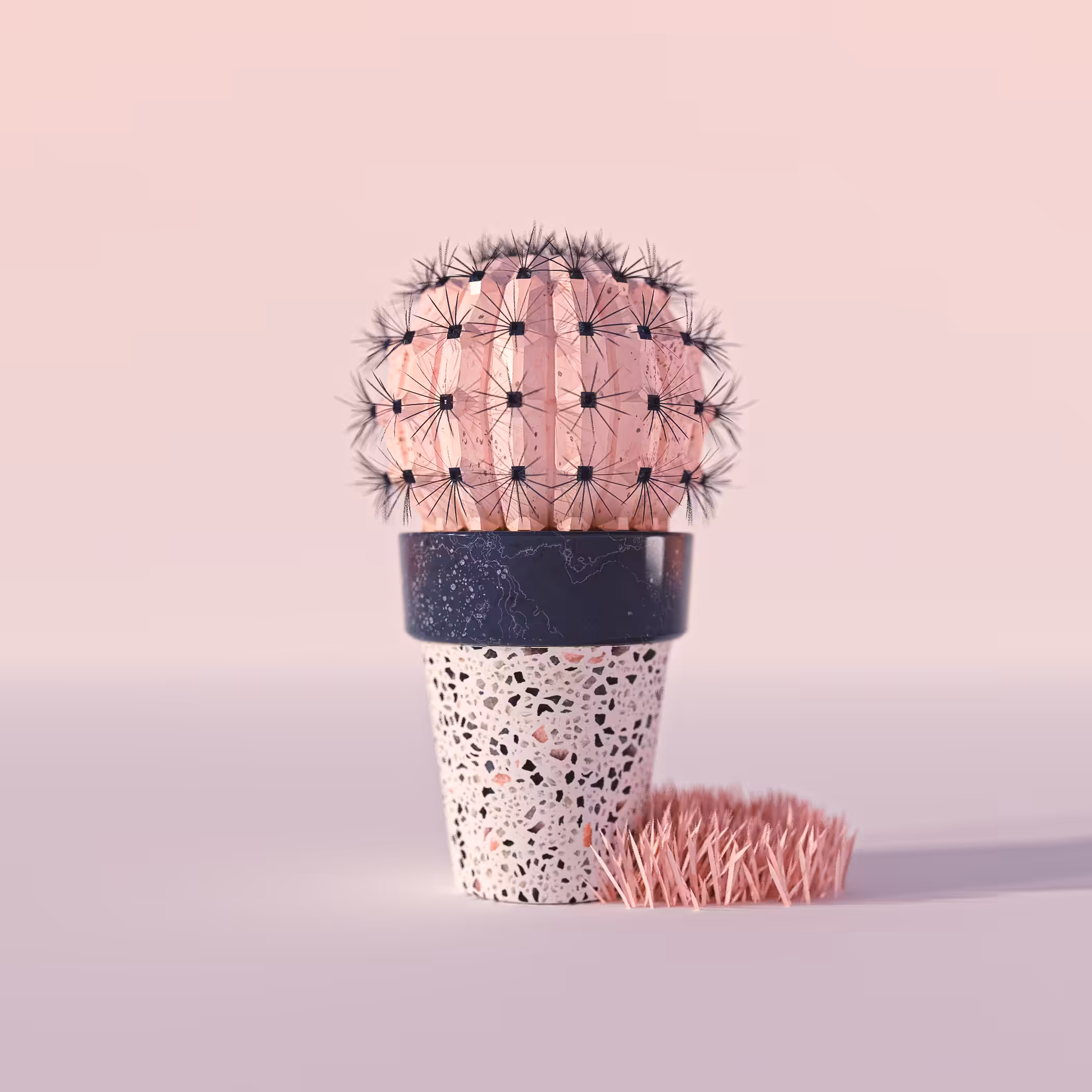 Practical Pink Cactus