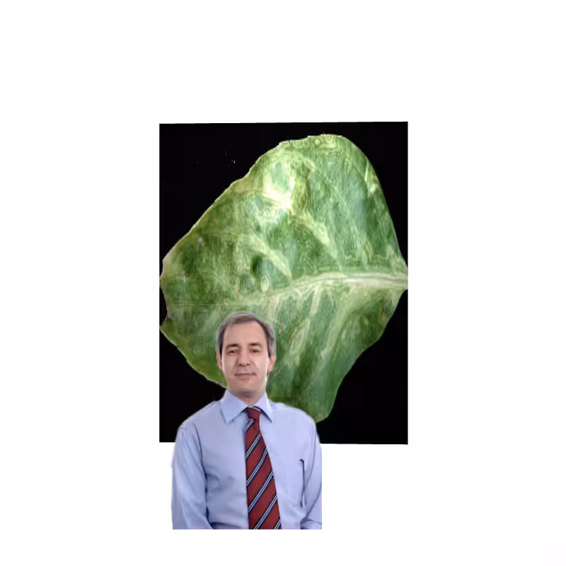 ART BASIL 2022