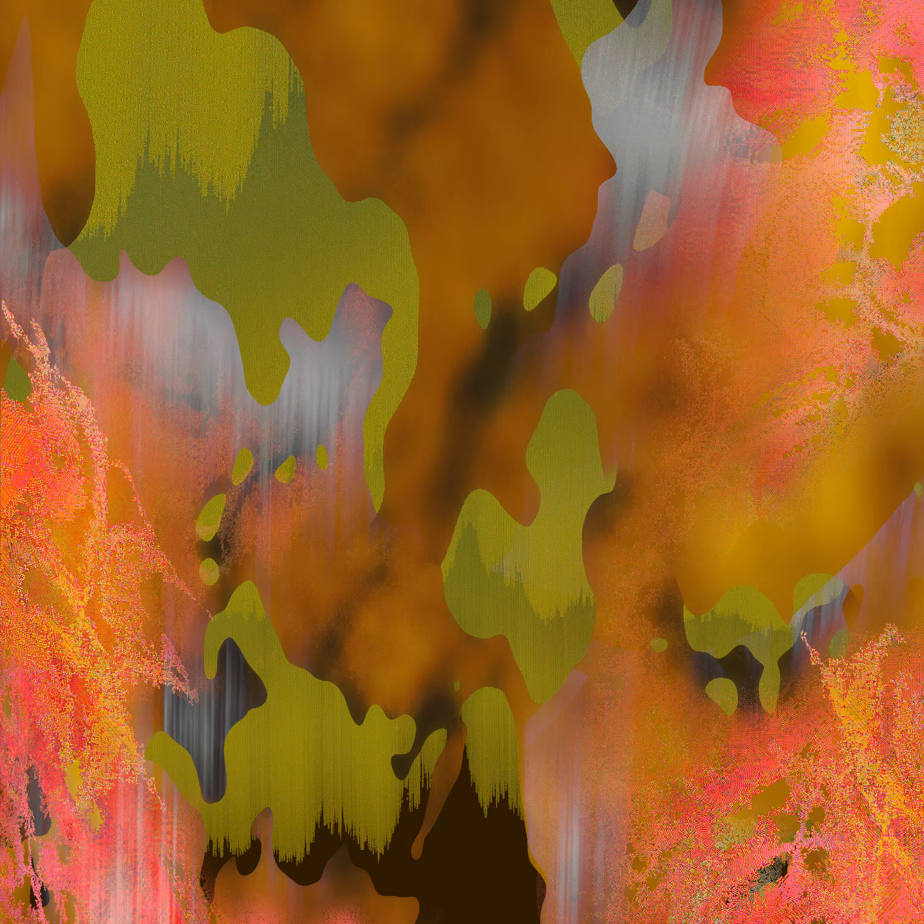 Digital Studies