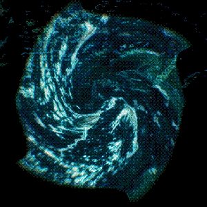 METAFORMA AQUA SIGNED EDITIONS