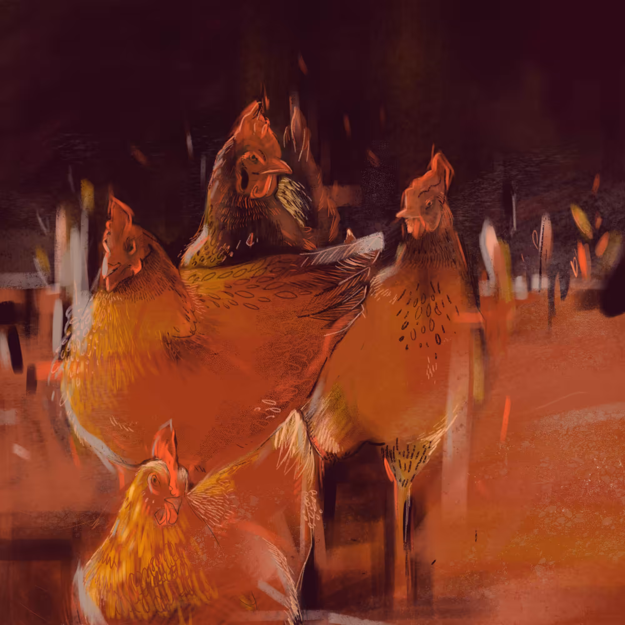 Chicken Family