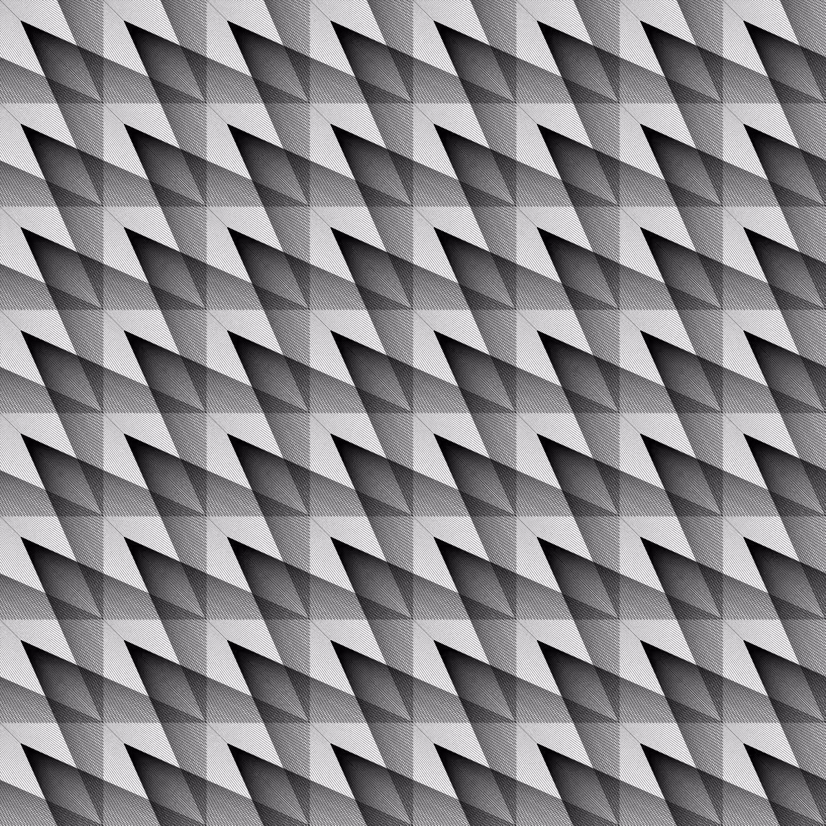 Noir et Blanc #8