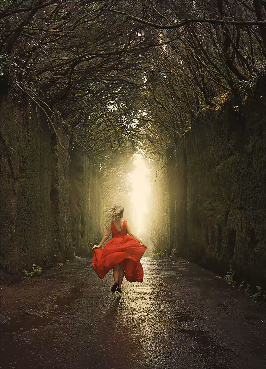Run to the Light