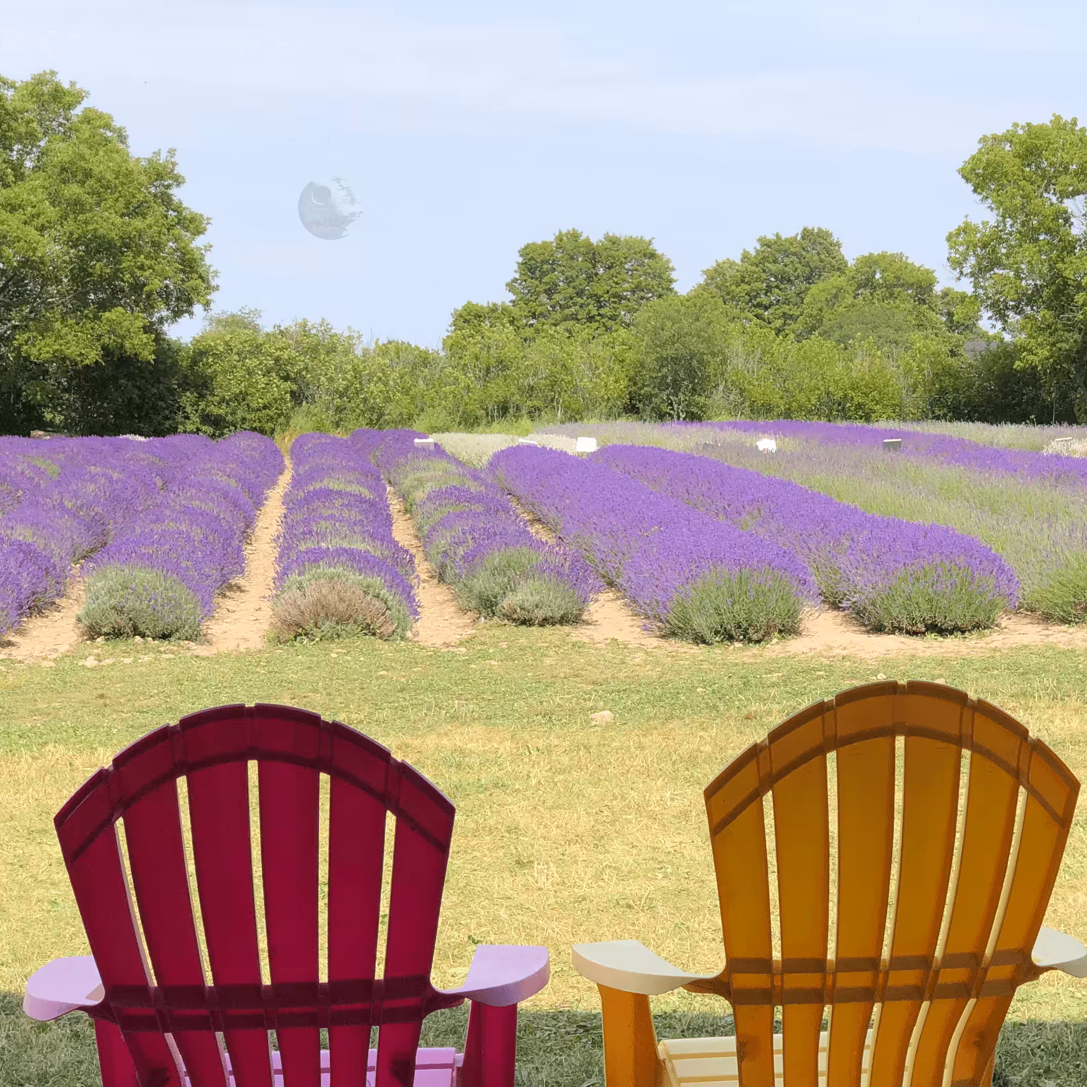 Deathstar: Lavender