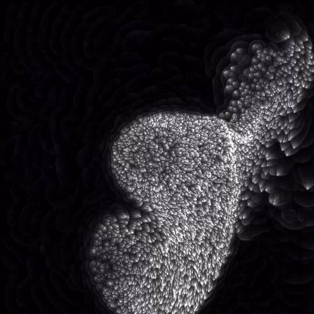 Fluid Fragments