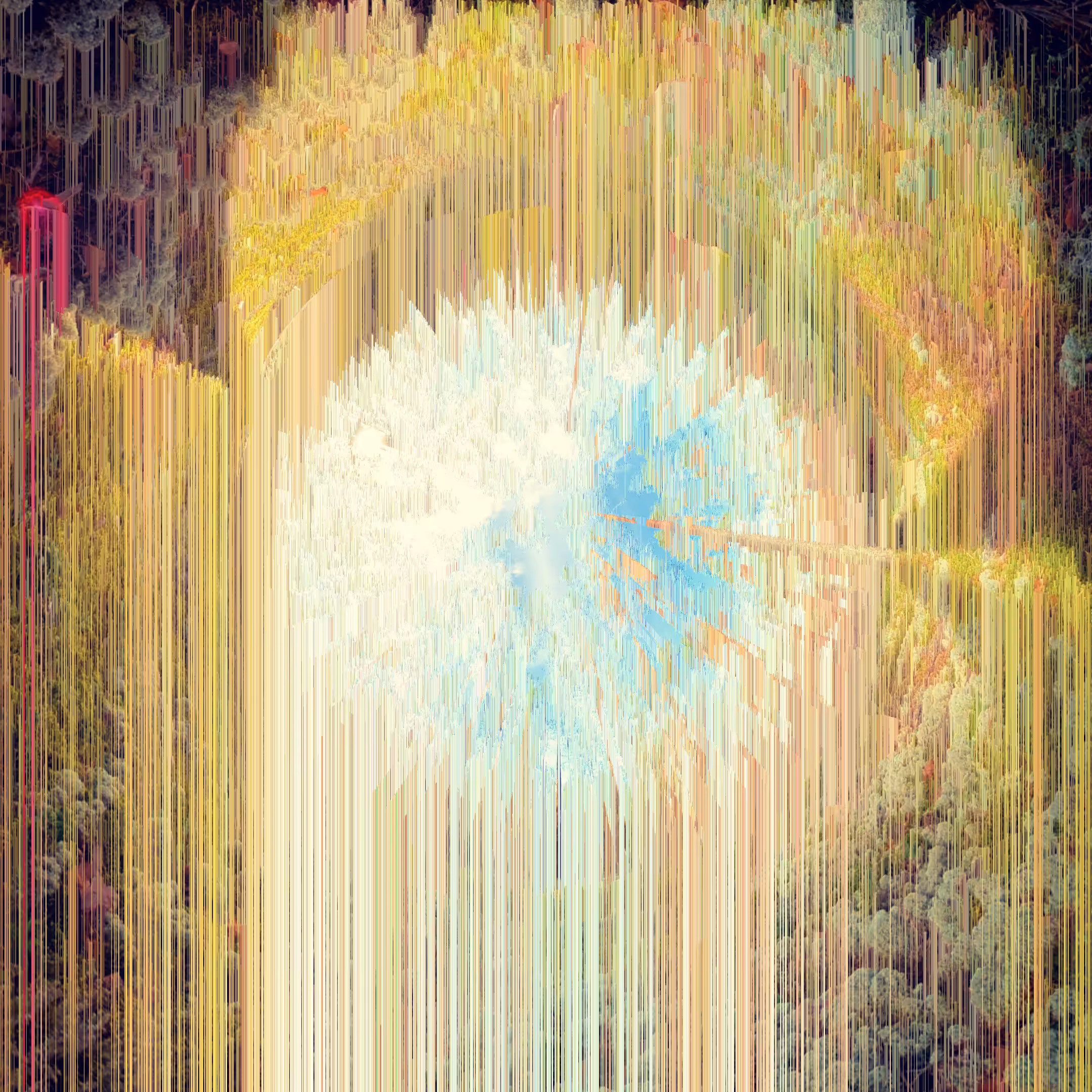 Forest Glitch series Colour: Processing 01