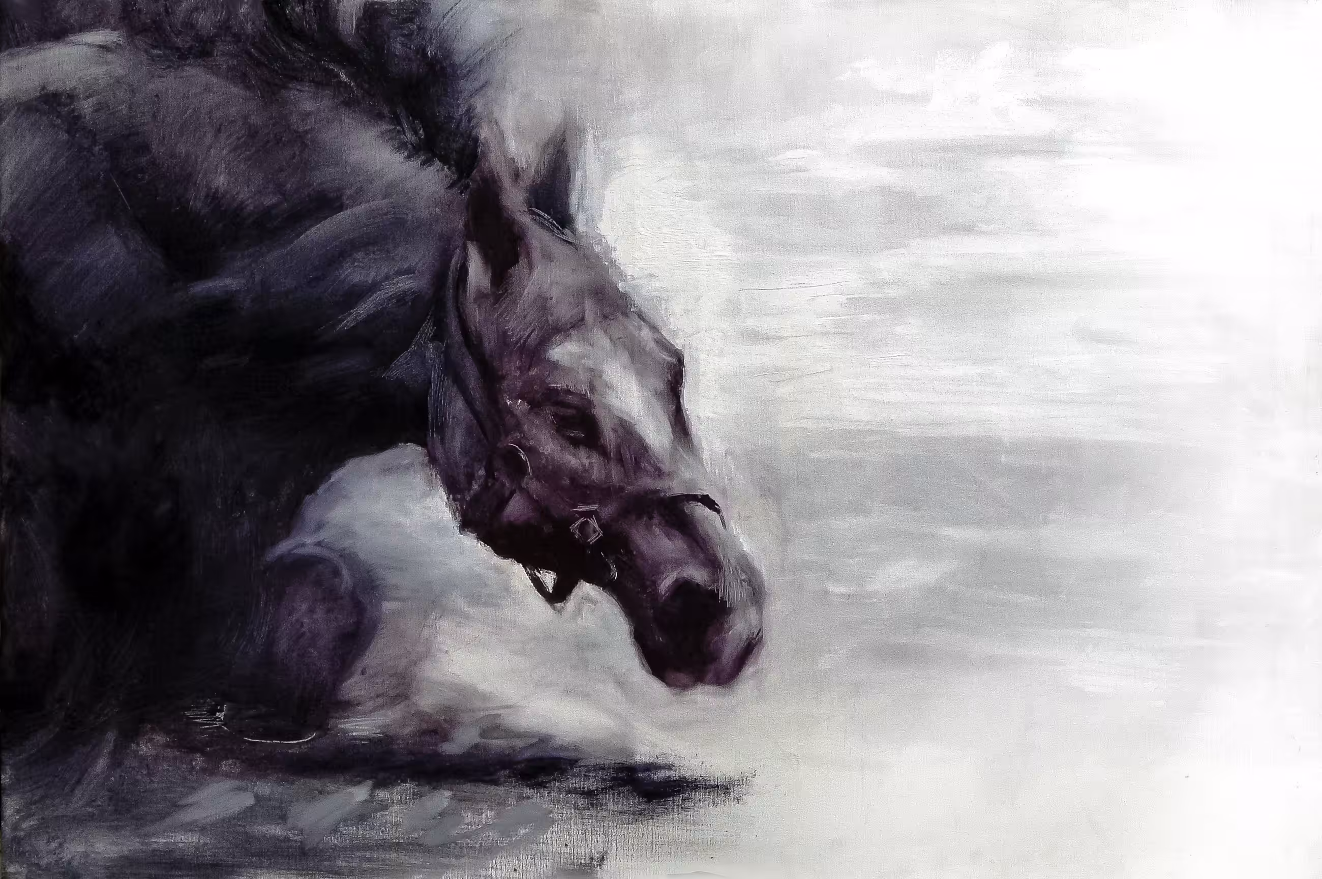 Horse in the water
