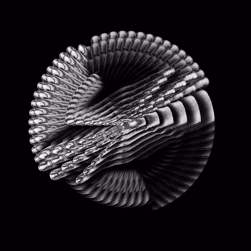░ 觀 INSIGHT SERIES ░ No.21 ░