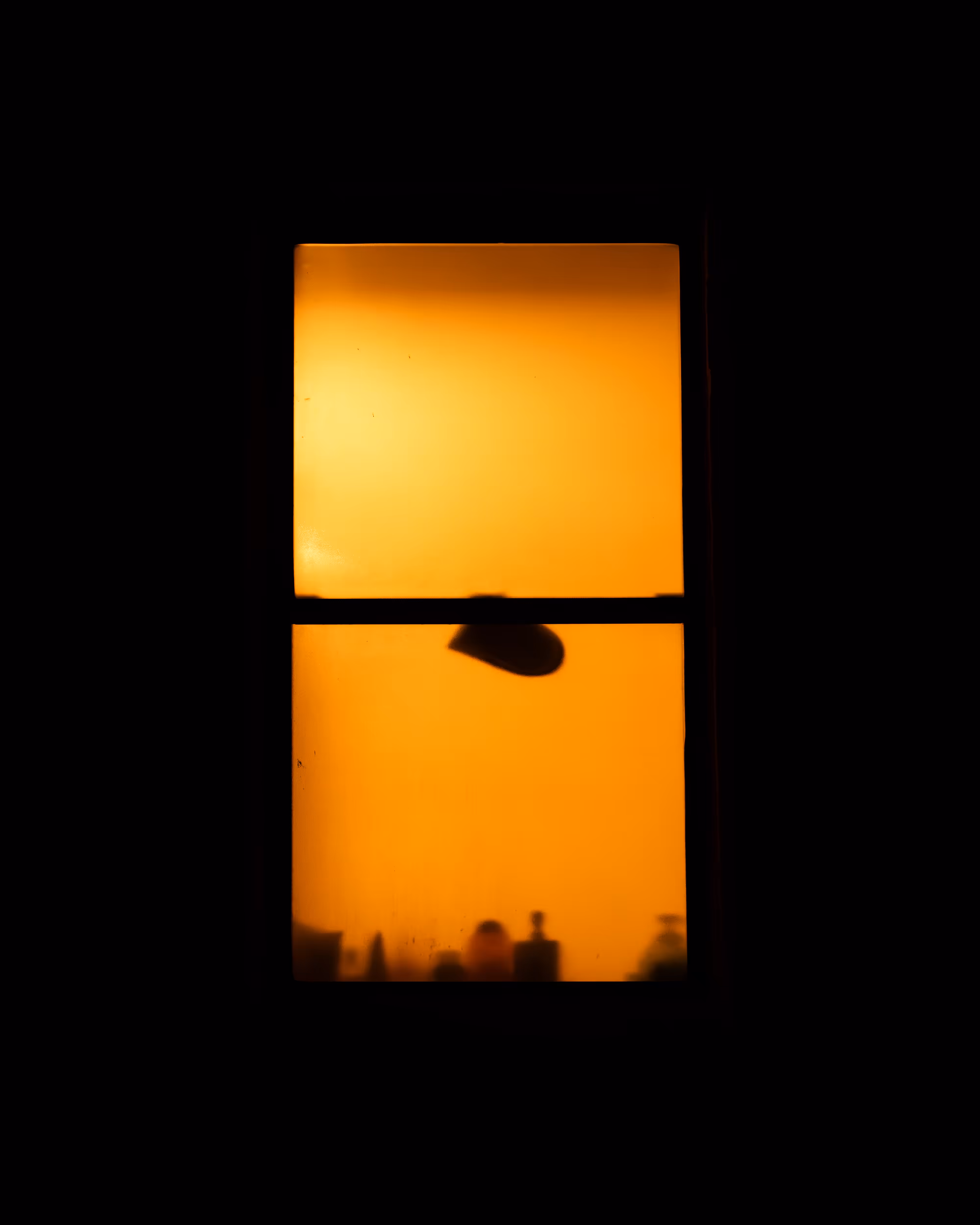 WINDOW 585