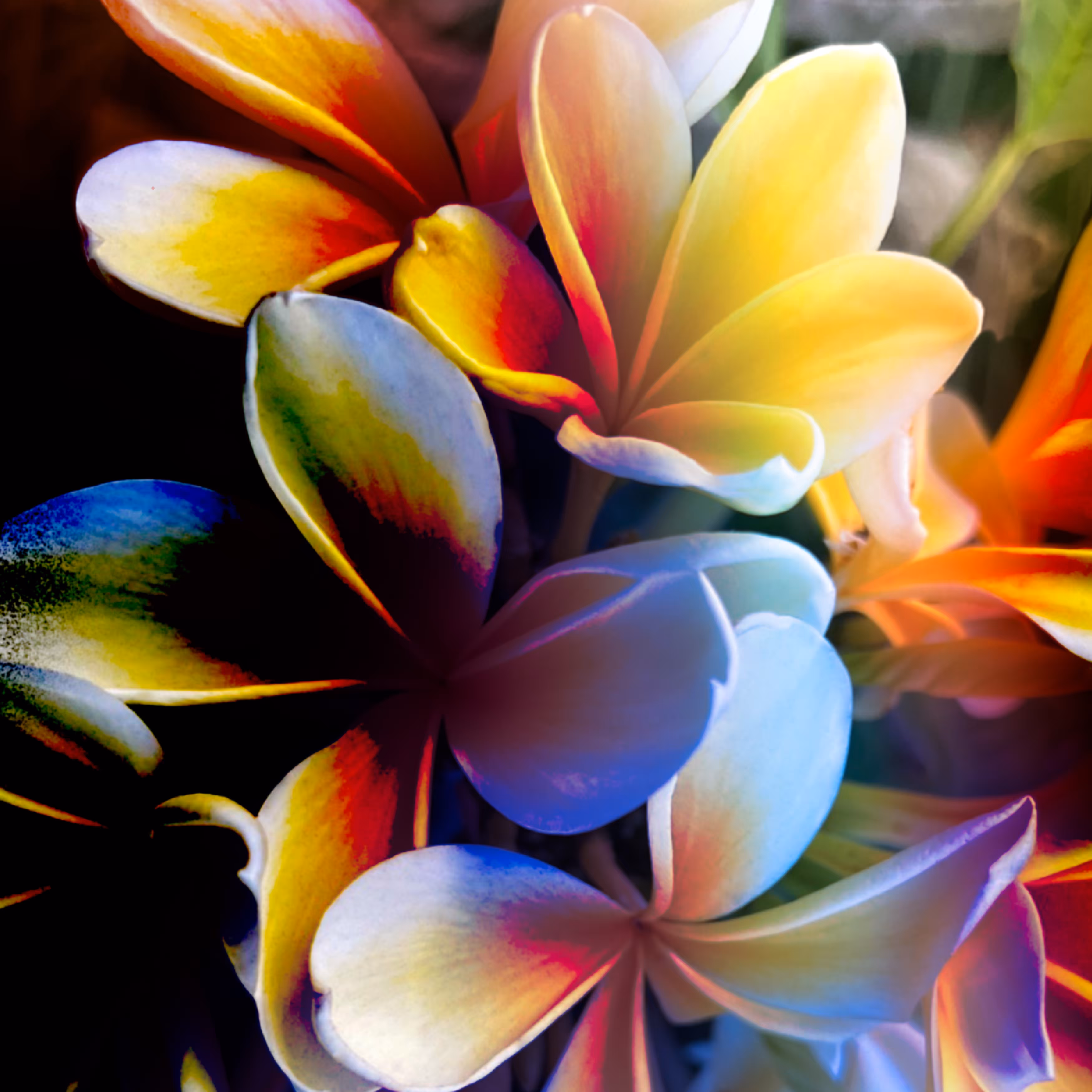 Colors 