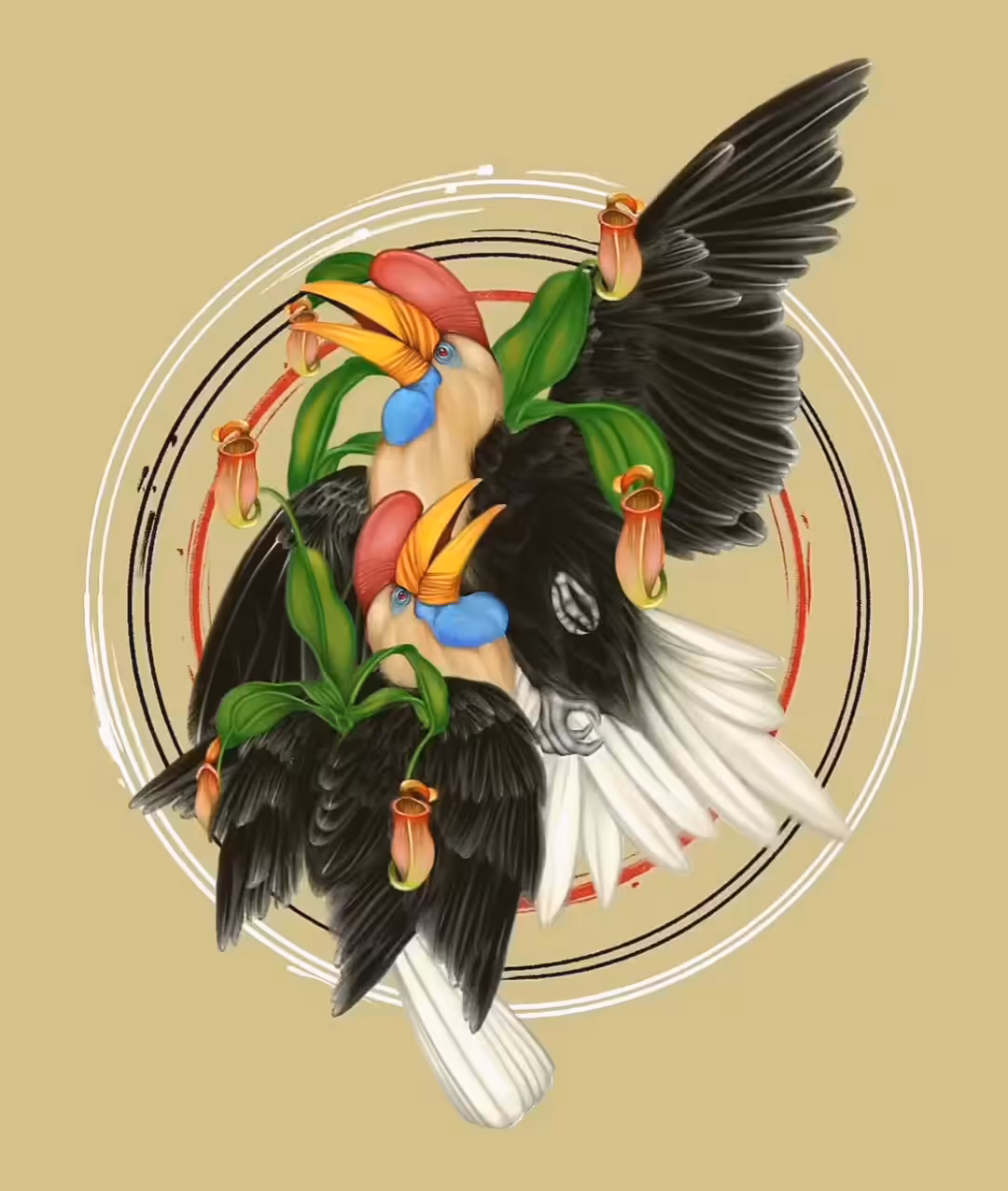 Helmeted Hornbill