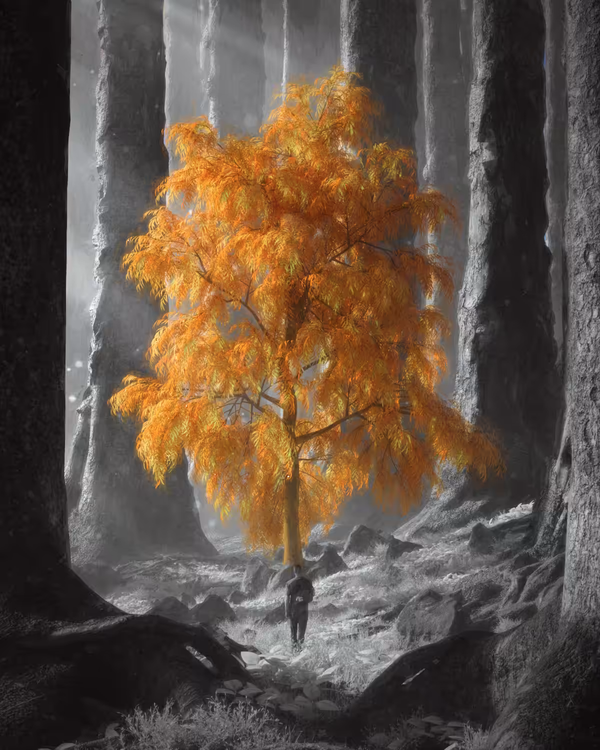 Lost In The Forest