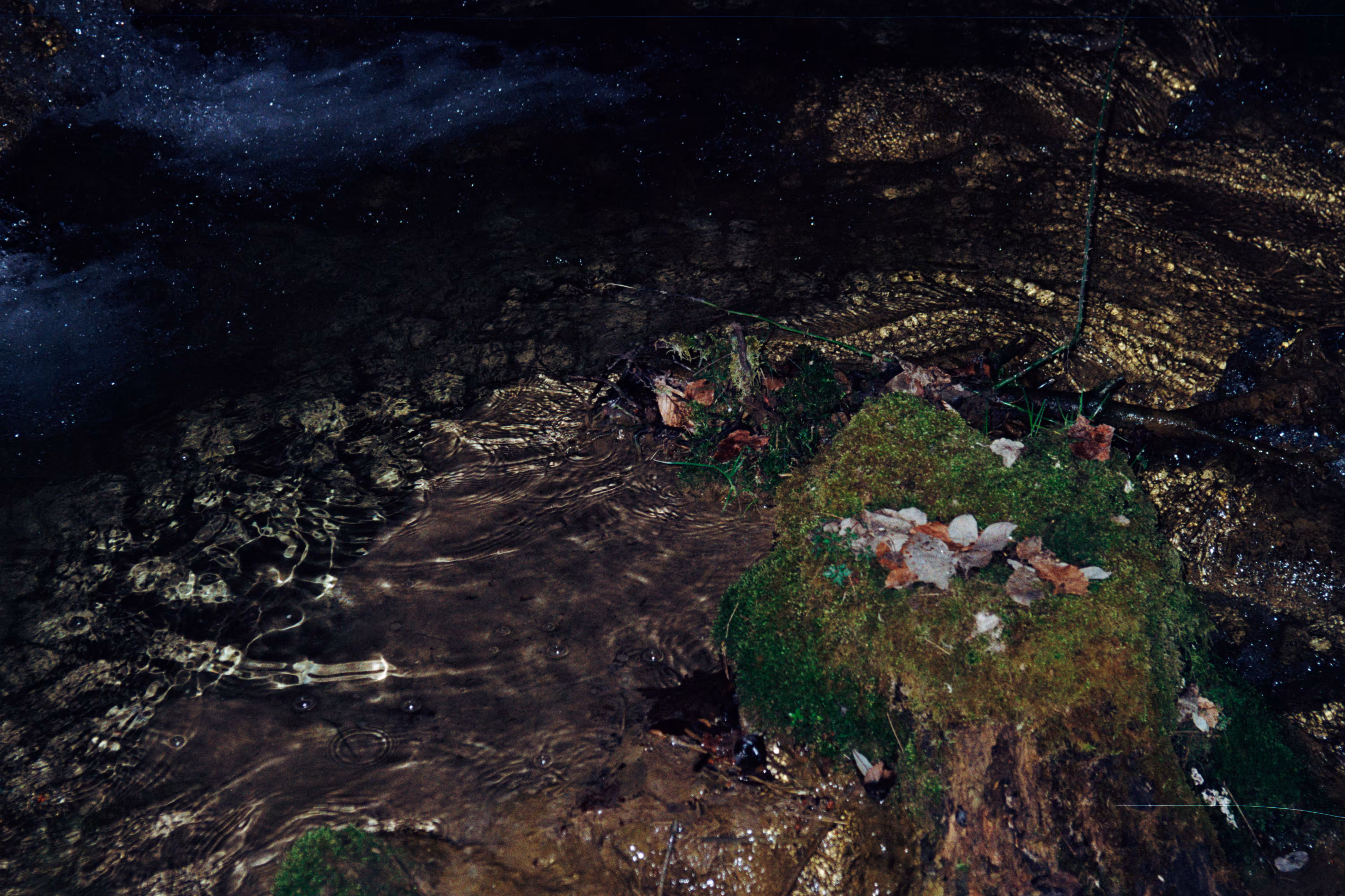 gorge of the first and last loved ones