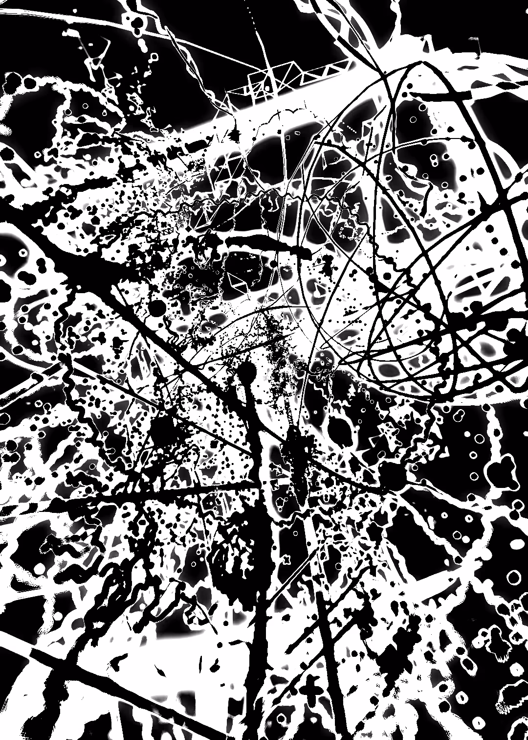 Black & Art #110
