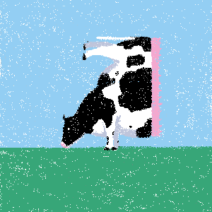 cow #85