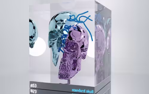 crypto.skulls#53