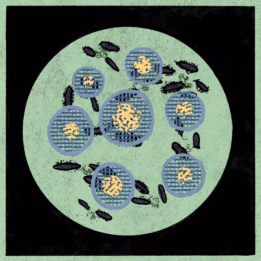 Microbes #243