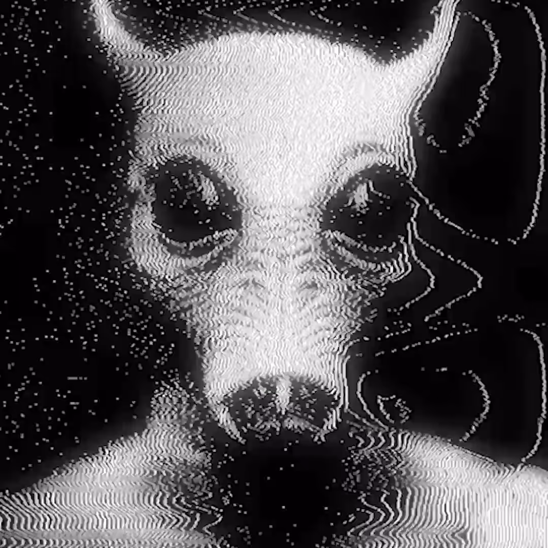 人 - hito