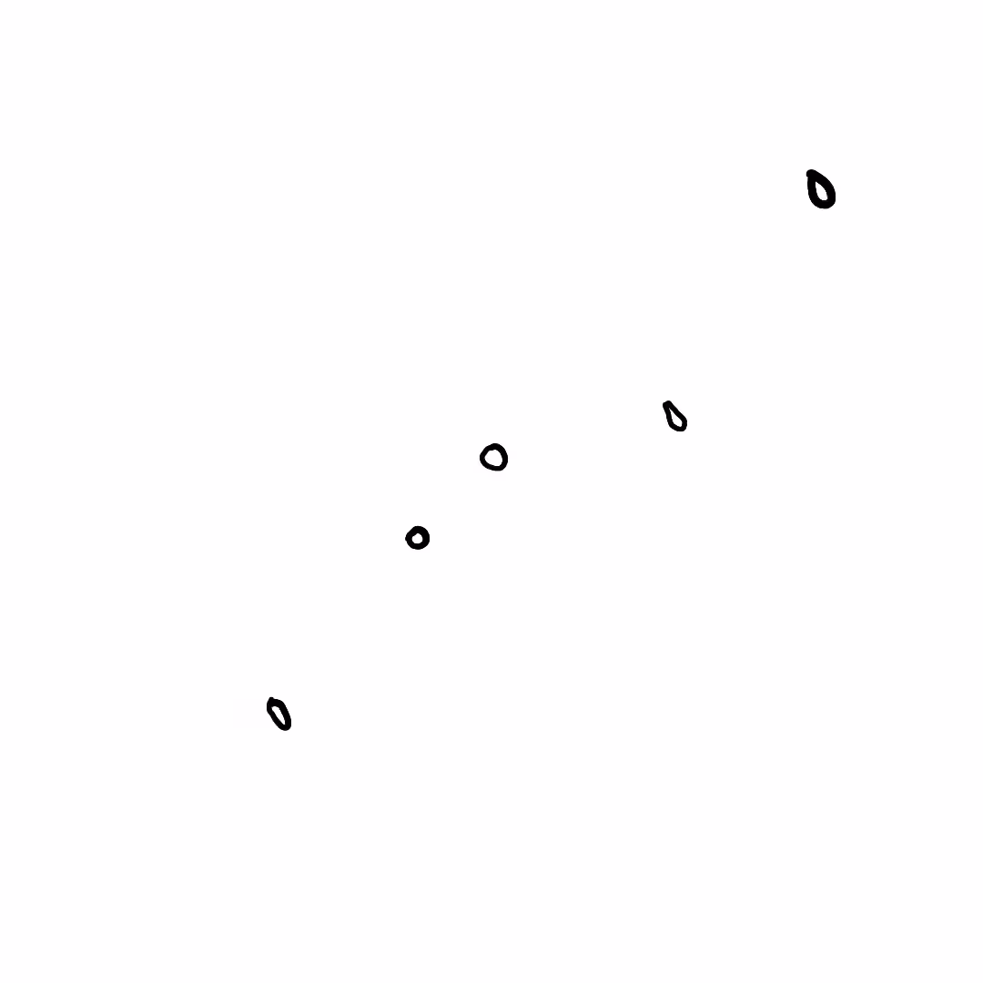 polychaser