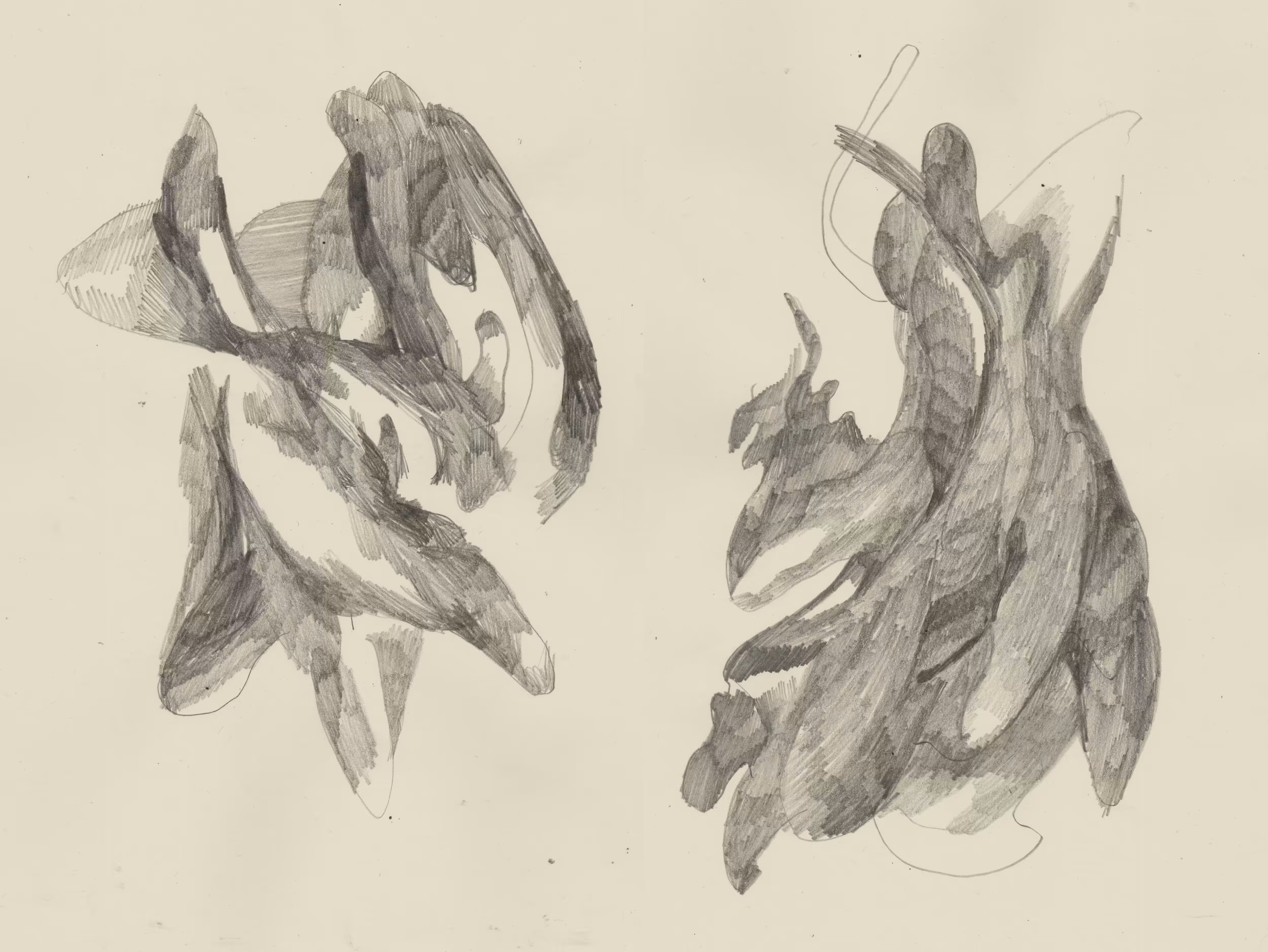 nest sketch