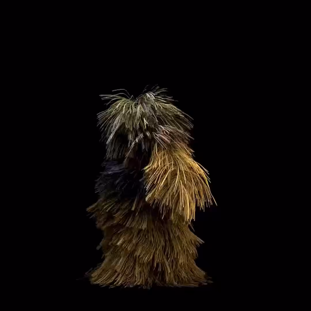 they live in a house made of straw
